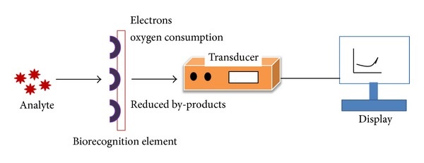 电化学生物传感器